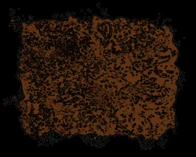 logo Anaxyrus Cognatus